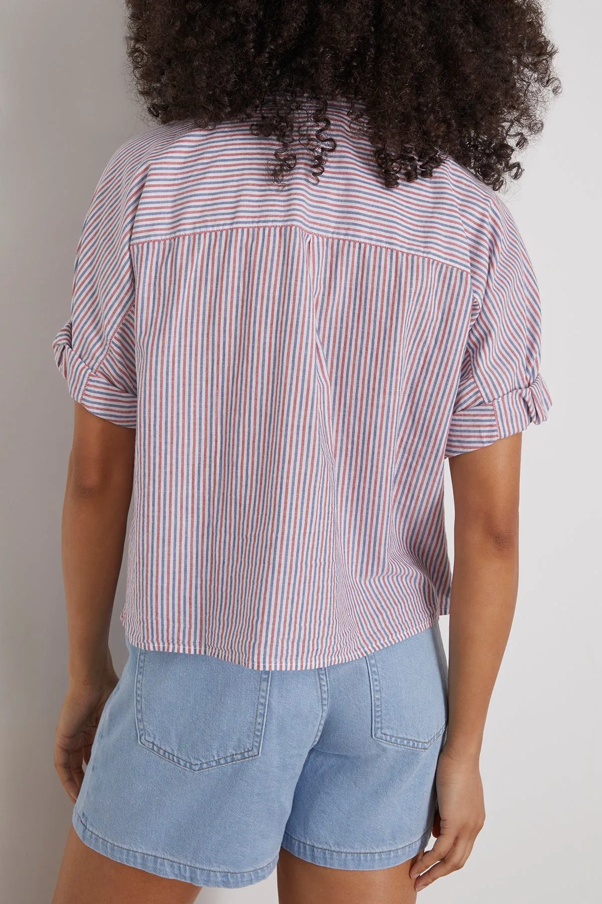 Teddy Shirt in Firework Stripe